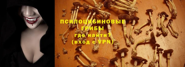 ПСИЛОЦИБИНОВЫЕ ГРИБЫ Богородск
