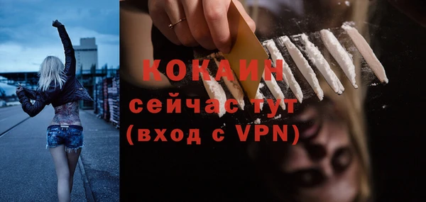 крисы Белокуриха