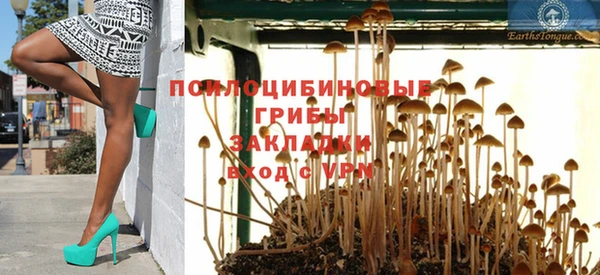 соль курить ск Богданович