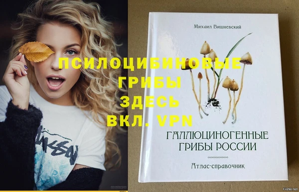 MDMA Богородицк