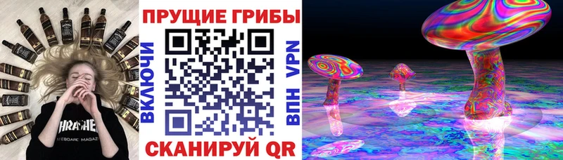 Галлюциногенные грибы ЛСД Волосово